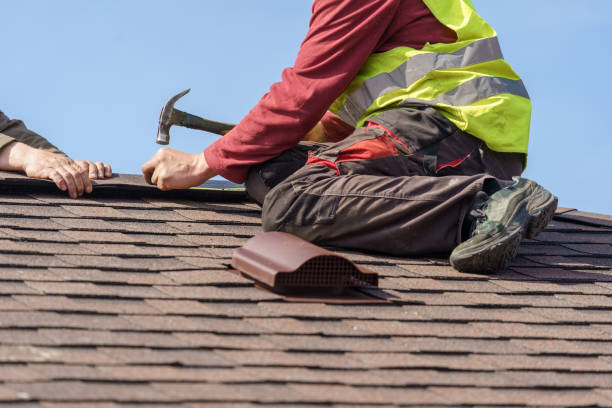 Best Roof Gutter Cleaning  in Drain, OR